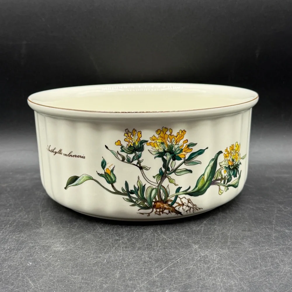 Vintage Villeroy & Boch Botanical 8